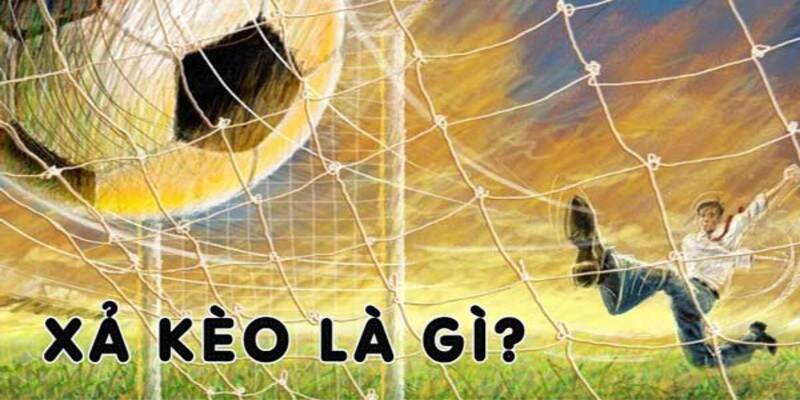 Tìm hiểu chi tiết cách xả kèo bóng đá hiệu quả