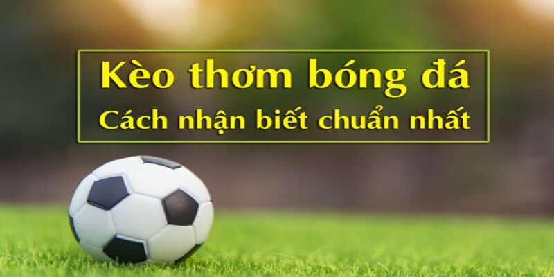 Kèo thơm tại Win55 và cách nhận biết và bắt kèo cực chuẩn 2 Khám phá kèo thơm là gì và cách nhận biết kèo ngon