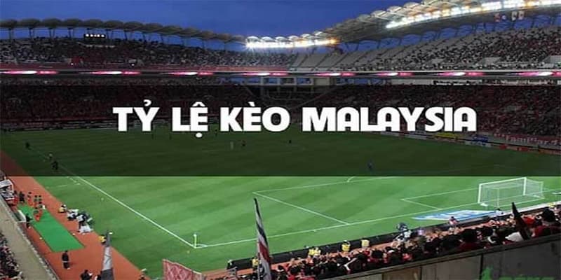 Hướng dẫn xem tỷ lệ kèo Malaysia Win55 và dự đoán chính xác 4 Cách dự đoán hiệu quả khi cá độ bóng đá